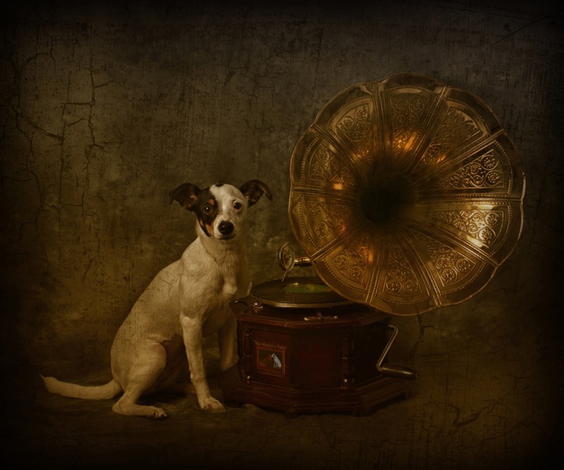 800x667 Kiwi Winners In Photography Masters Cup D Photo - His Masters Voice Painting
