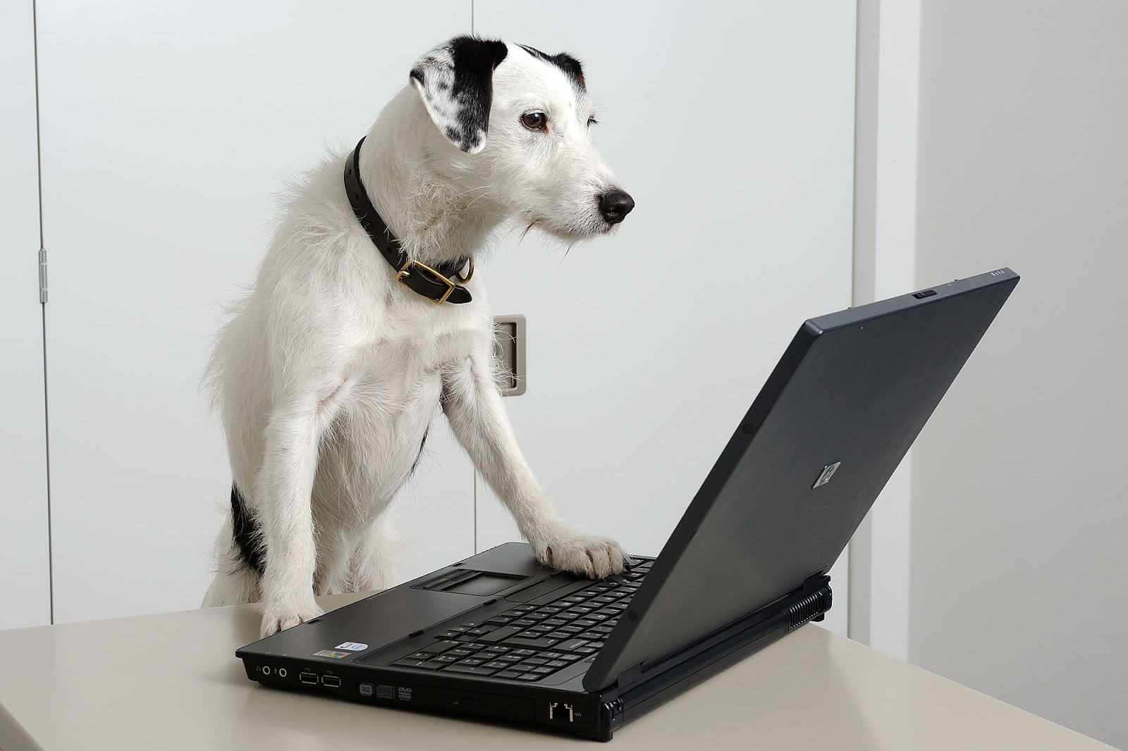 1600x1066 Private Beach Silencing His Master's Voice - His Masters Voice Painting