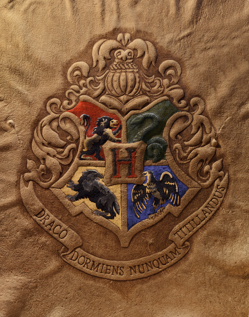 498x633 Harry Potter - Hogwarts Crest Painting