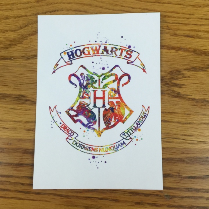 720x720 The Fan Empire May 2016 Subscription Box Review - Hogwarts Crest Painting