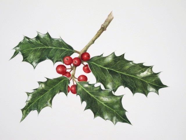 640x480 Verysmallstudio - Holly Painting