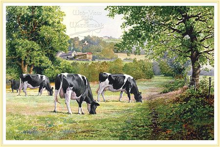 450x302 Holstein Friesians Grazing By Anthony Forster The Farmer's Artist - Holstein Cow Painting