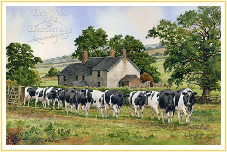 450x302 Leading Ladies - Holstein Cow Painting
