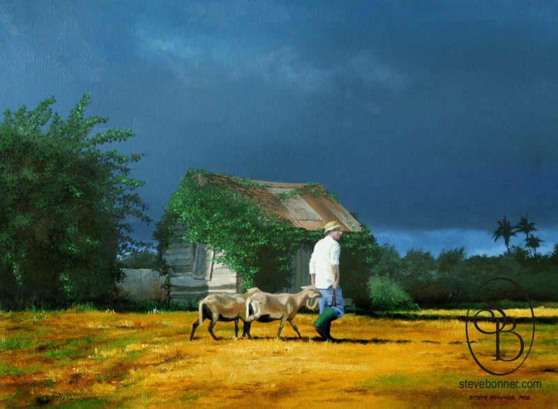 800x587 Homeward Bound Barbados Print - Homeward Bound Painting