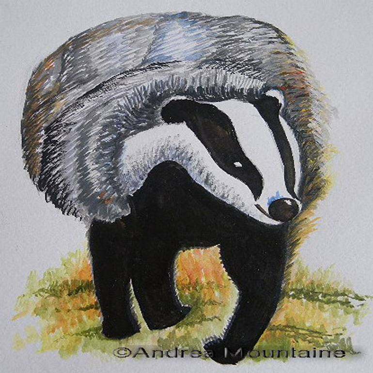 770x770 Saatchi Art Badger Painting By Andrea Mountaine - Honey Badger Painting