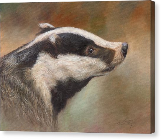546x476 Badger Canvas Prints Fine Art America - Honey Badger Painting