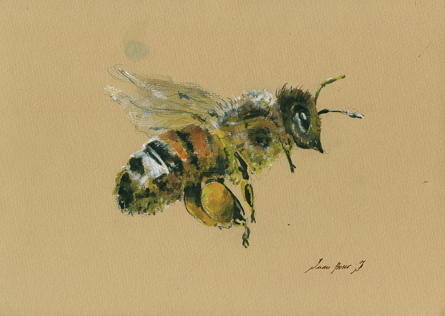 900x639 Honey Bee Painting By Juan Bosco - Honey Bee Painting