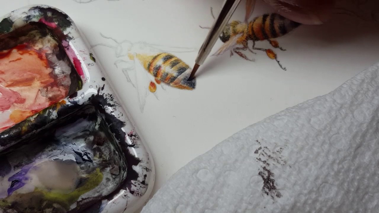 1280x720 Watercolor Painting A Honeybee (Full 18 Minute Version) - Honey Bee Painting