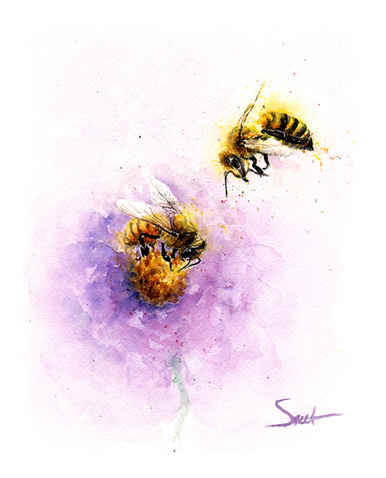 550x680 Honeybee Watercolor Print Watercolor Animal Paintings - Honey Bee Watercolor Painting