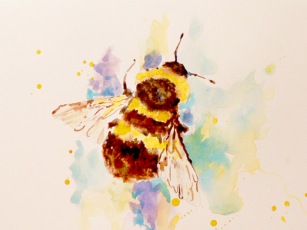 1068x799 Let's Hear It For The Bees! Alison Fennell Art - Honey Bee Watercolor Painting