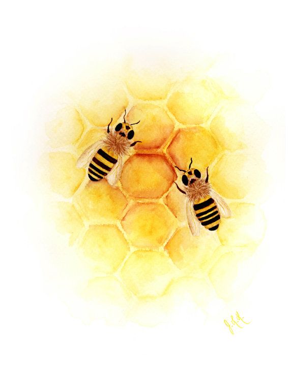 570x738 Bee Watercolor Painting Print Giclee Fine Art Archival Honey Bees - Honey Bee Watercolor Painting