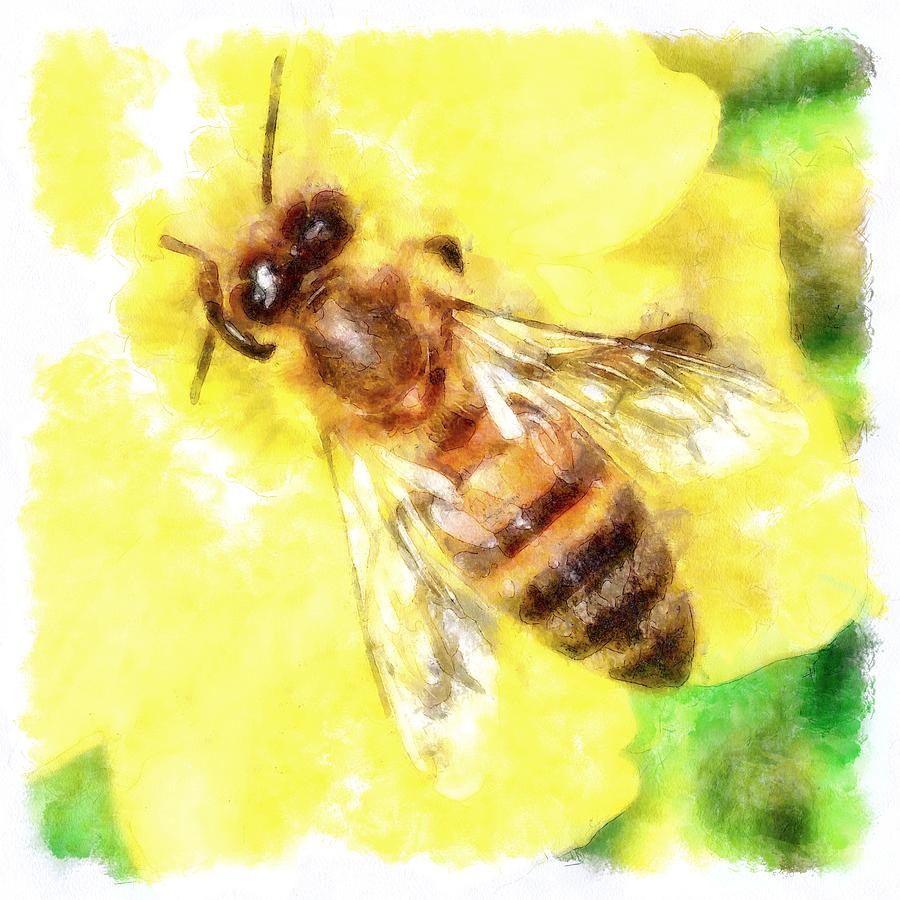 900x900 The Pollen Collector Honeybee Watercolor Painting By Tracey - Honey Bee Watercolor Painting