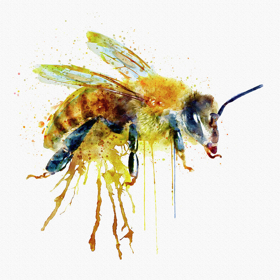 900x900 Watercolor Bee Painting By Marian Voicu - Honey Bee Watercolor Painting