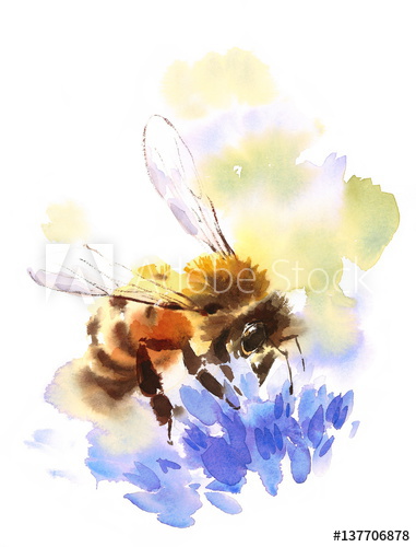 381x500 Watercolor Honey Bee On Blue Flower Hand Painted Summer - Honey Bee Watercolor Painting