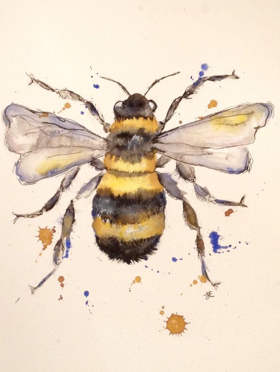 570x755 Watercolour Painting - Honey Bee Watercolor Painting