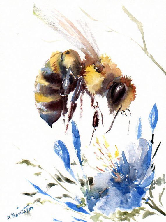570x762 Watercolor Flower Portrait - Honey Bee Watercolor Painting