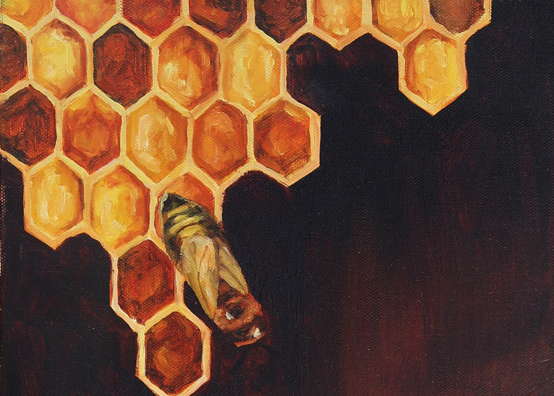 1080x772 Queen Bee - Honeycomb Painting