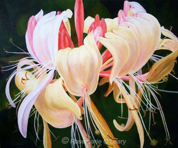 602x501 Flowers And Butterflies - Honeysuckle Painting