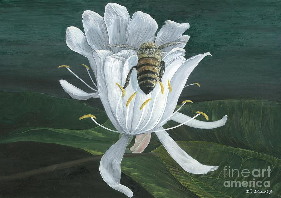 900x634 Honey Bee Painting By Tom Blodgett Jr - Honeysuckle Painting