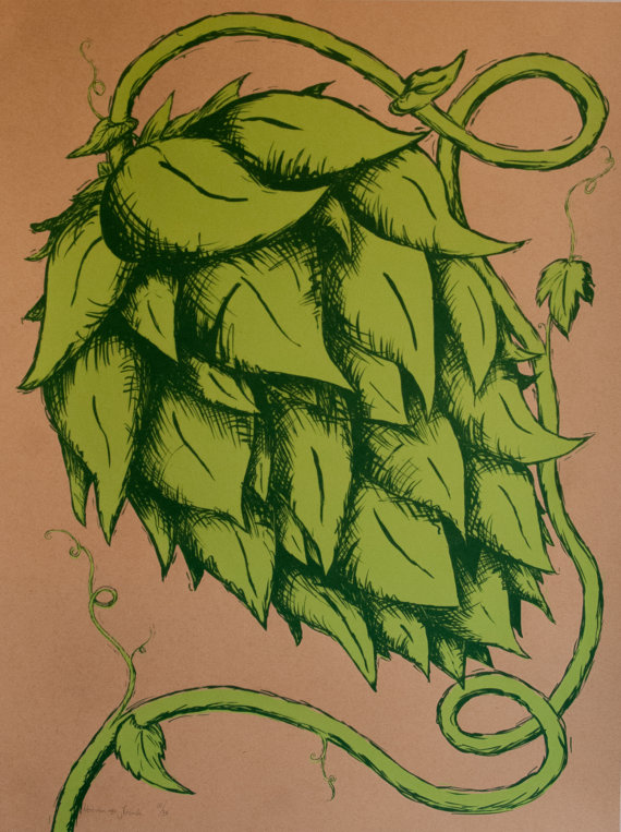 570x763 Hop Flower Art Print Flower Art, Flower And Etsy - Hops Painting