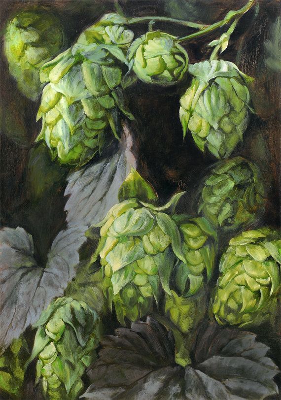 570x812 Hops, Print From Oil Painting Advertising Oil - Hops Painting