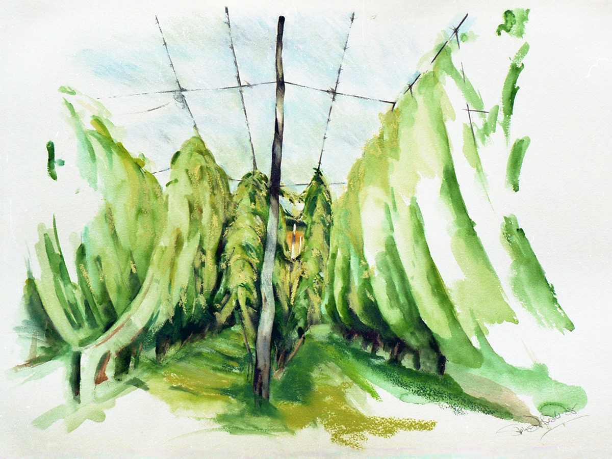 1200x901 Hops Part 2 - Hops Painting