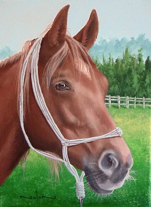 500x686 How To Paint A Horse Portrait In Acrylic - Horse Acrylic Painting