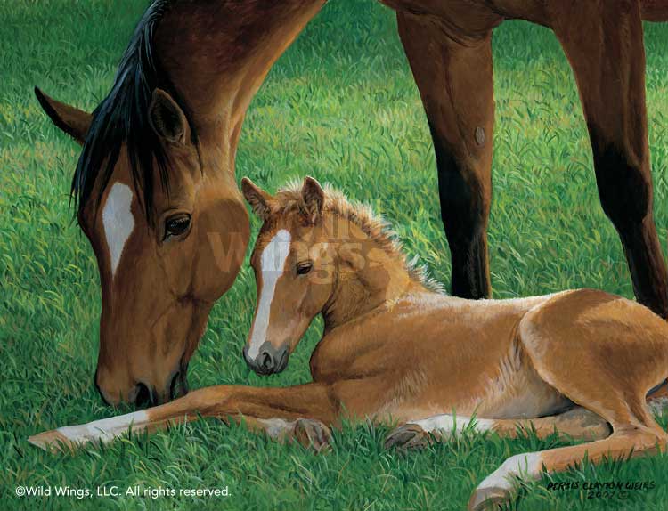 750x574 Horses Painting Spring Colt Amp Mare By Persis Clayton Weirs Wild - Horse And Foal Painting