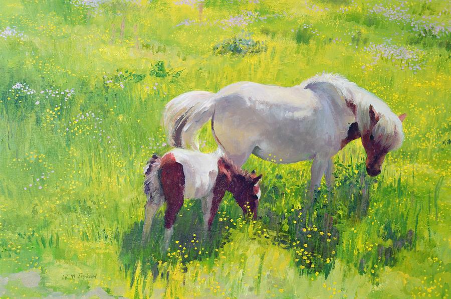 900x596 Piebald Horse And Foal Painting By William Ireland - Horse And Foal Painting