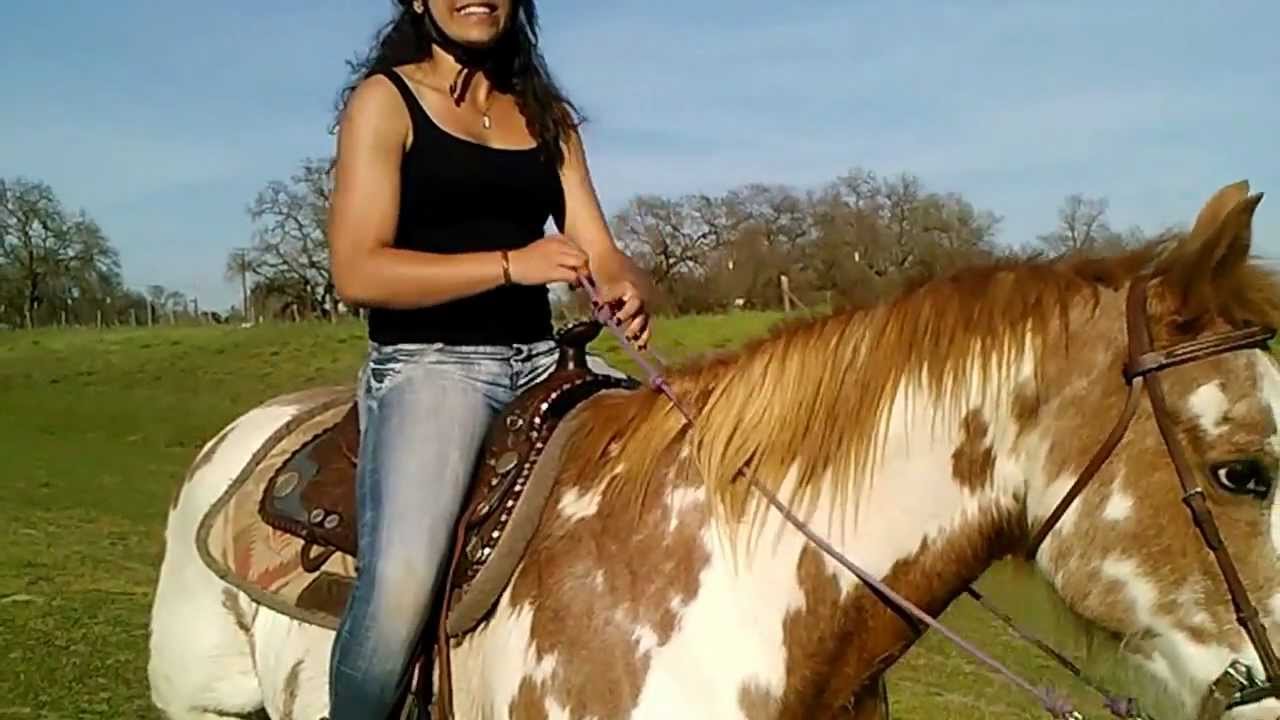 1280x720 Paint Horse Galloping - Horse And Rider Painting