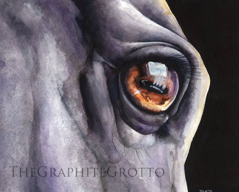800x644 Horse Eye Watercolor Painting Original Through A Horse's Eyes - Horse Eye Painting