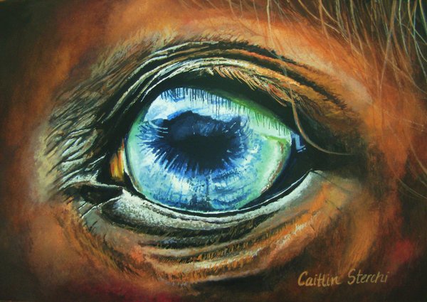 600x425 Horse Eye By Cowgirlcait - Horse Eye Painting