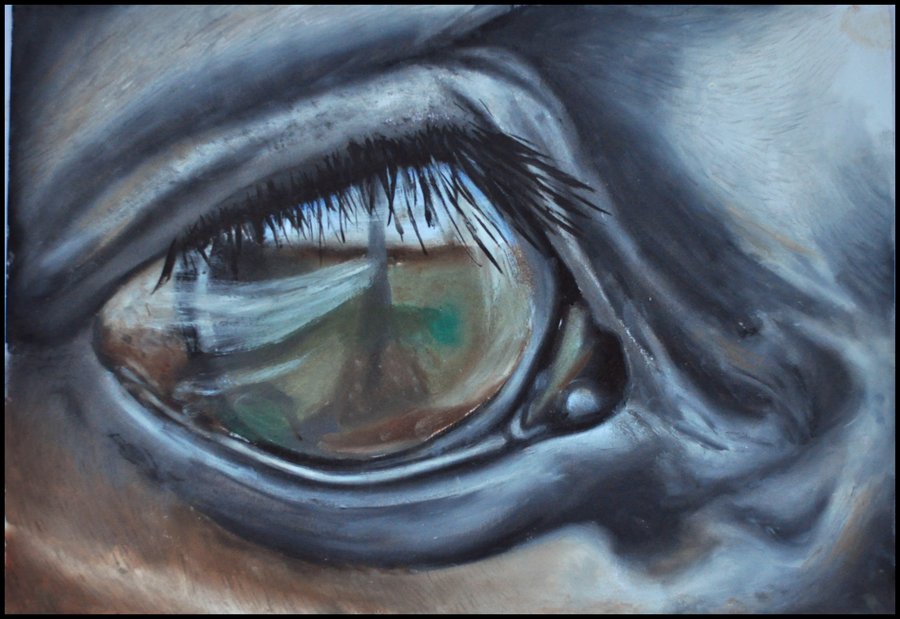 900x619 Horse Eye Close Up Painting By 0dolly0brcs0dr - Horse Eye Painting