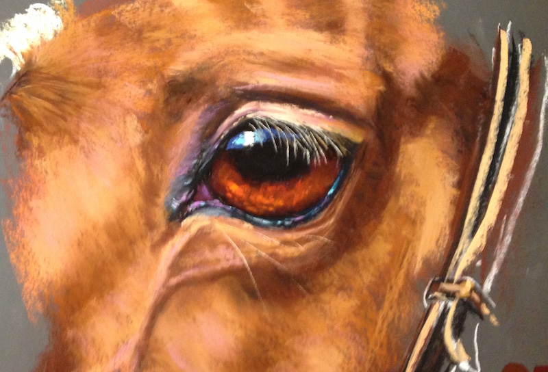 800x544 How To Paint A Horse's Eye In Pastel Arttutor - Horse Eye Painting