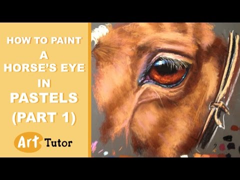 480x360 How To Paint A Horse's Eye In Soft Pastels - Horse Eye Painting