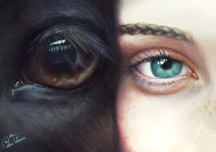 700x493 Mamph - Horse Eye Painting