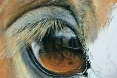450x301 Painting A Day Demonstration Horse Eye By Roberta Baer - Horse Eye Painting