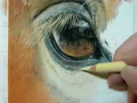 480x360 Painting A Day Demonstration Horse Eye By Roberta Roby Baer - Horse Eye Painting