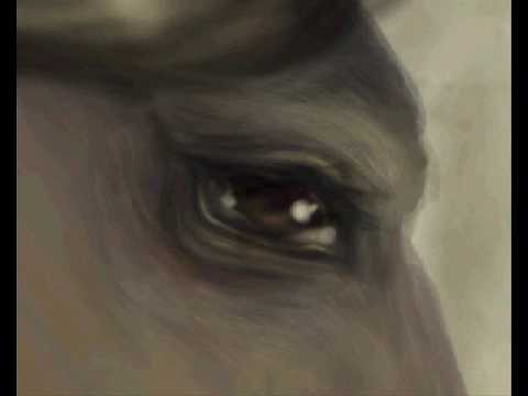 480x360 Painting A Horse Eye - Horse Eye Painting