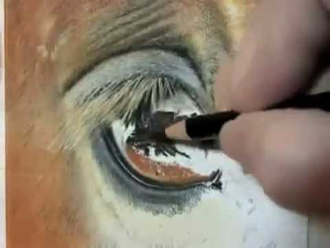 480x360 Pastel Painting Demonstration Horse Eye By Roby Baer Psa - Horse Eye Painting