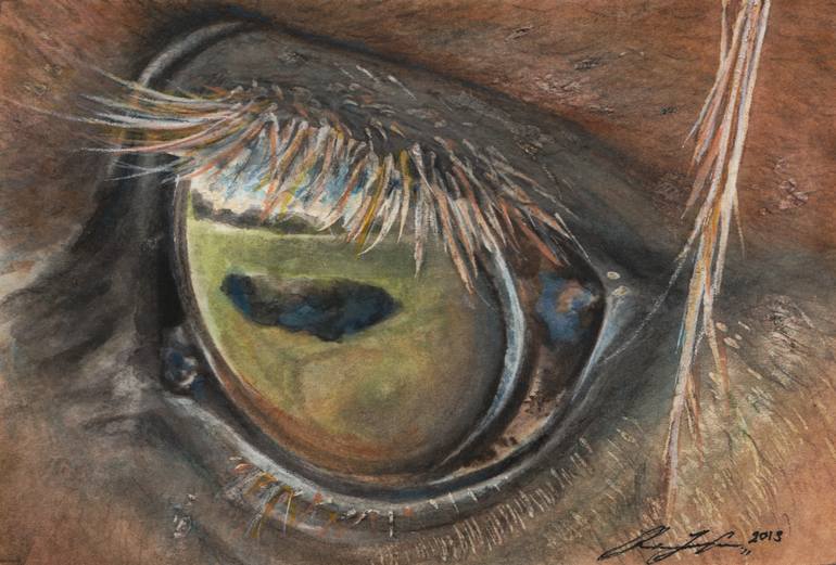 770x521 Saatchi Art Horse Eye Watercolor Painting Painting By Rachael Curry - Horse Eye Painting