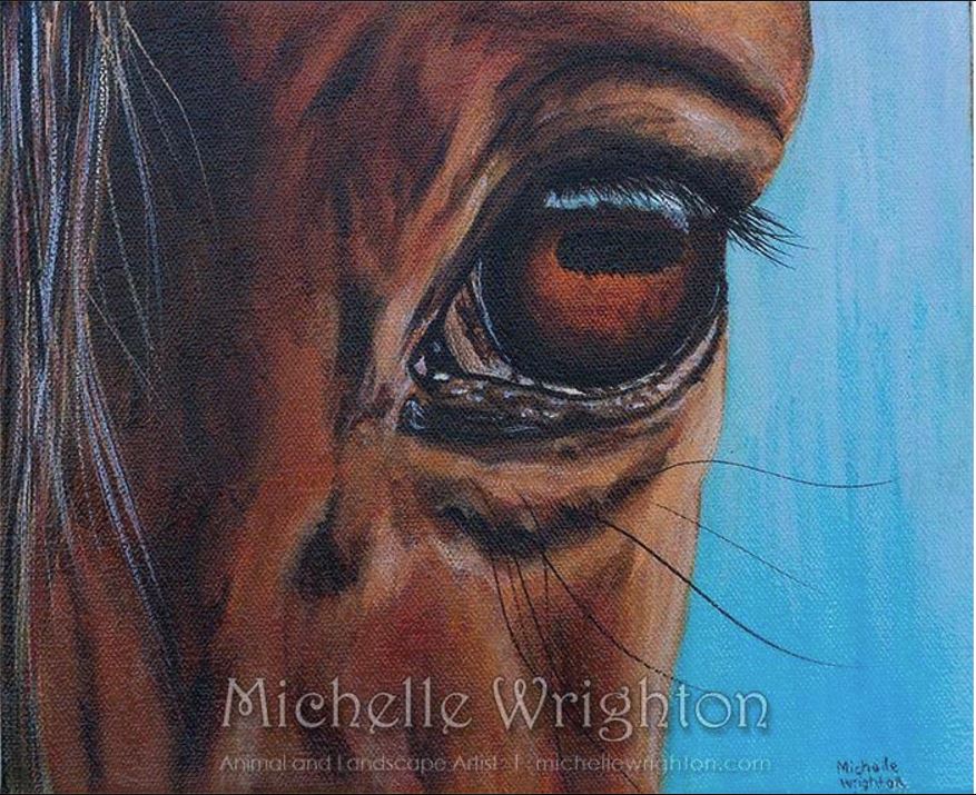 877x715 See My Soul - Horse Eye Painting