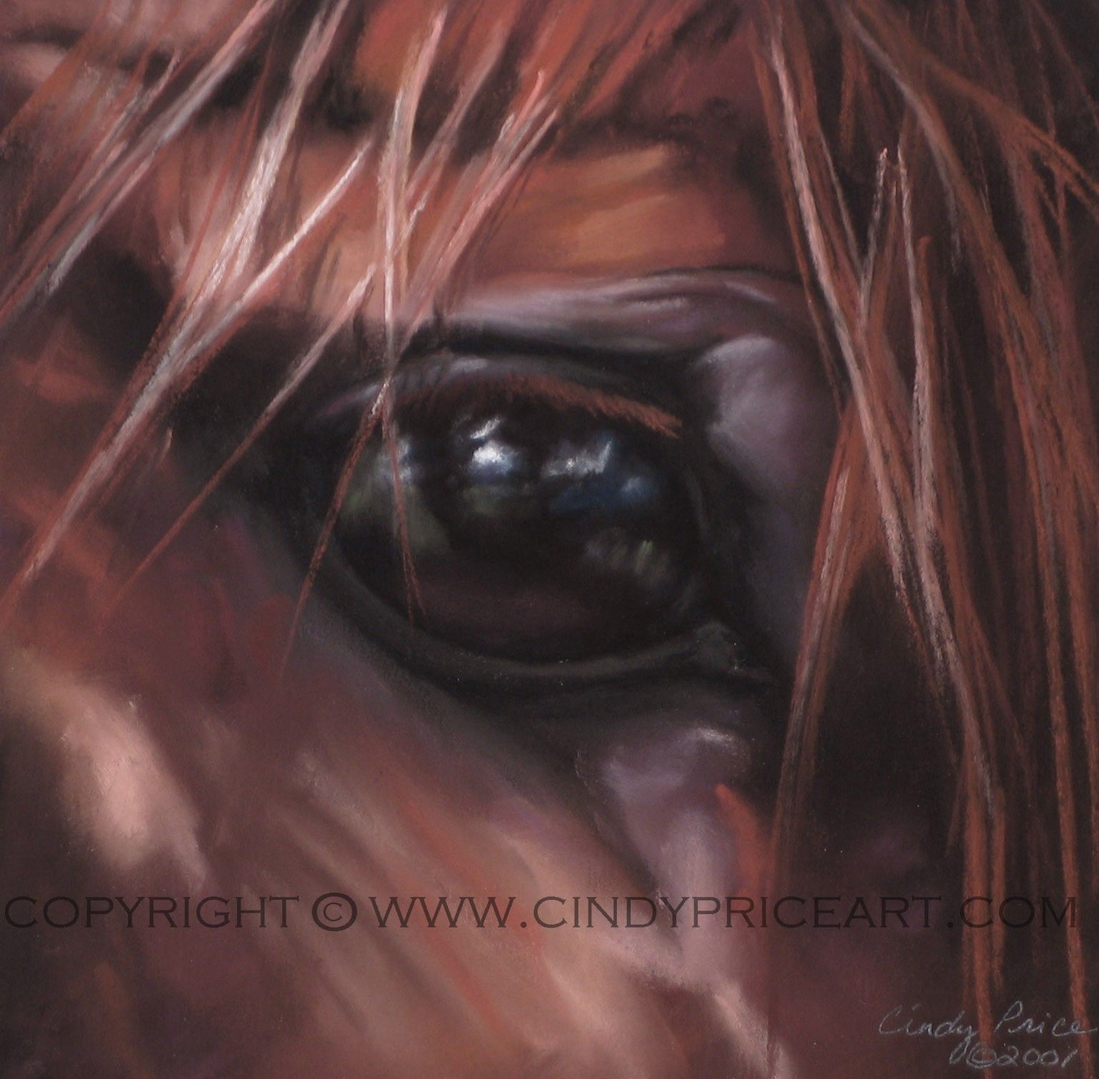 1539x1511 Window To The Soul Horse Eye Equine Art Print Of Pastel Painting - Horse Eye Painting