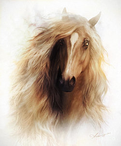 250x300 Horse Face Paintings Fine Art America - Horse Face Painting