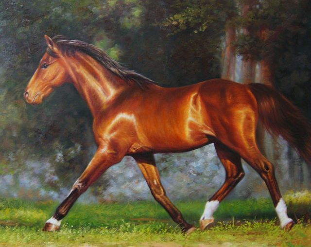 640x508 Horse Painting,horse Oil Painting,sinoorigin - Horse For Painting