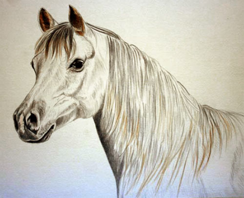 500x406 How To Paint Horses, Free Watercolour Tutorial - Horse For Painting