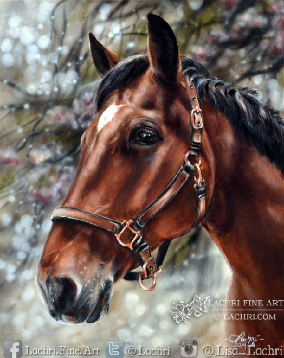 556x700 Painting A Horse In Oil Over Acrylic Paint - Horse For Painting