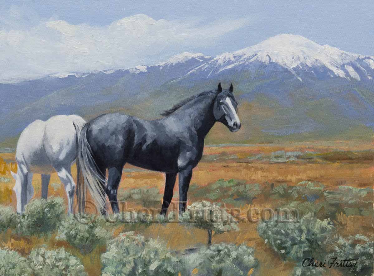 1200x886 White Horse Arts Blue Roan Mountain - Horse For Painting