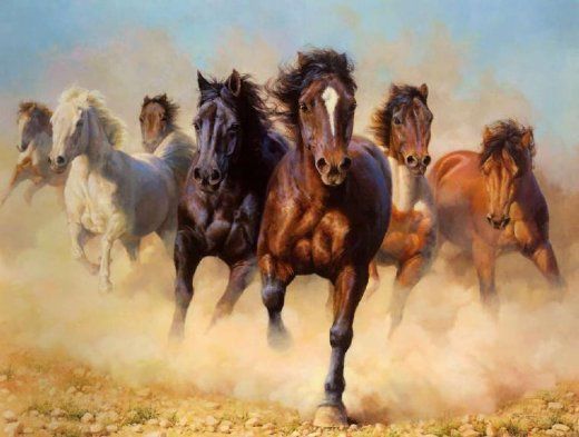 520x393 Wild Horses Paintings Of Horses Painting Oil Paintings Prints - Horse For Painting