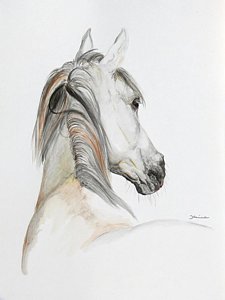 225x300 Arabian Horse Paintings Fine Art America - Horse For Painting